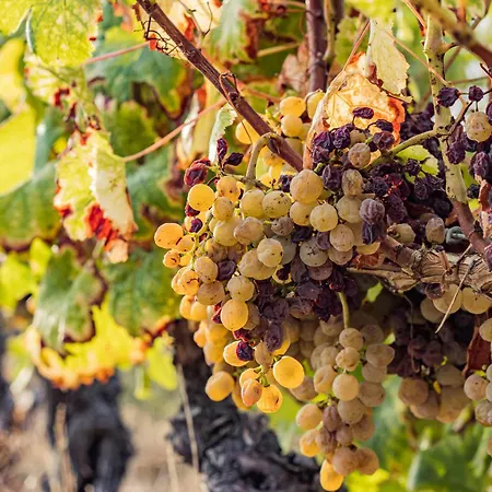 De Lamour Casa de Férias *